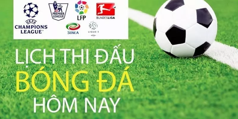 đa dạng trận đấu vebotv